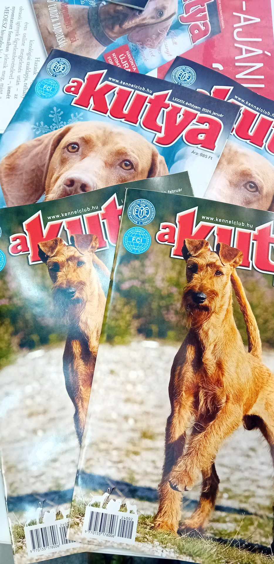 Hungarian Kennel Club - MEOE Szövetség | Budapest
