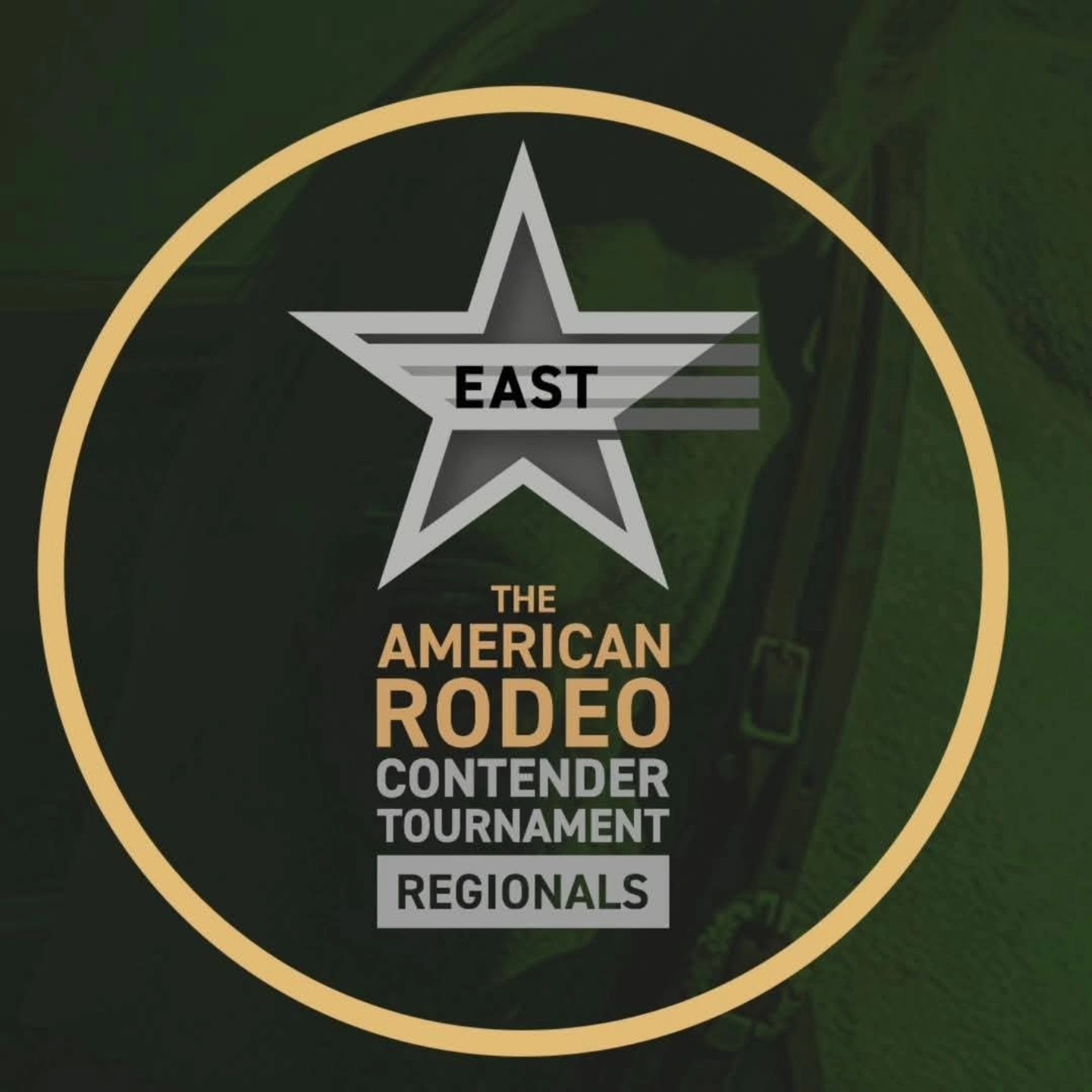 Pro Fantasy Rodeo