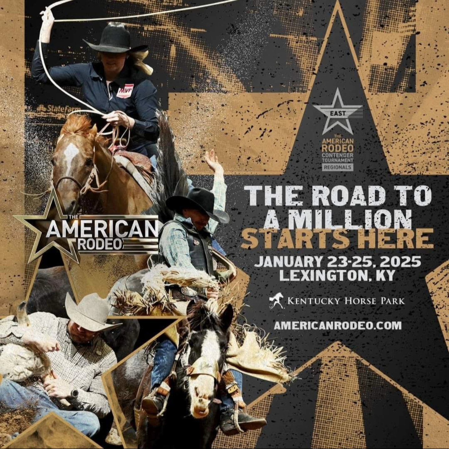 Pro Fantasy Rodeo