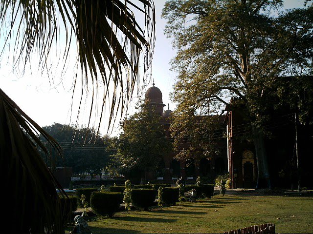 Punjab University College of Information Technology, PUCIT - Home