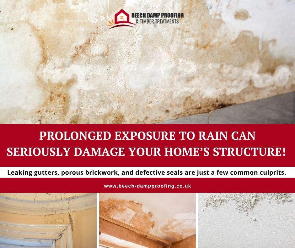 Beech - 🌧️ Rain damage can threaten your home’s structure! 🌧️ Leaking ...