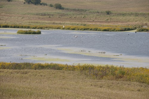 Iowa - Conservation Reserve Enhancement Program (CREP) wetlands can ...