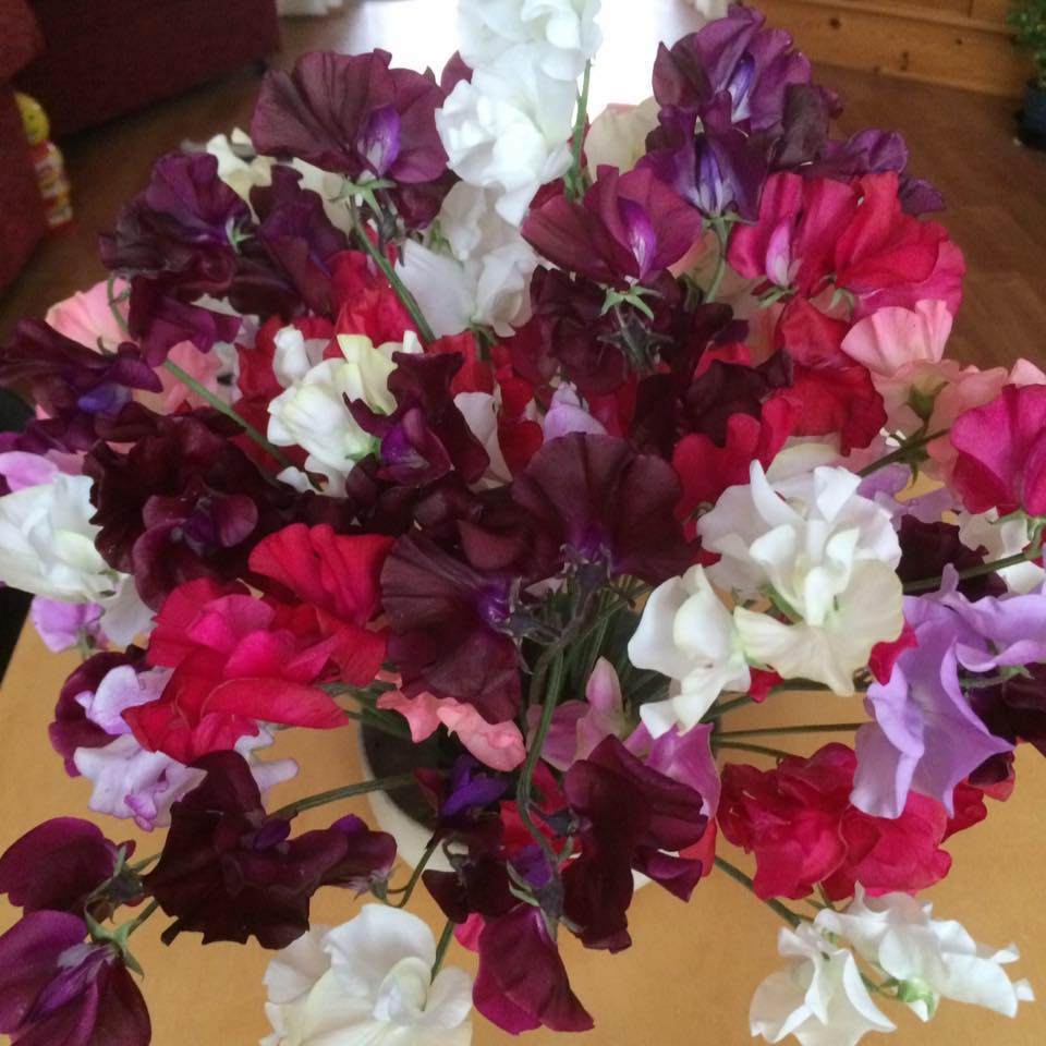 Rustington Village News | Rustington Horticultural Association has its ...