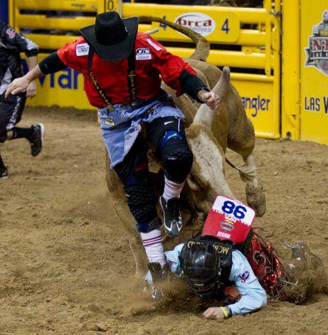 Crystal Springs Rodeo - The bull Crystal Springs Peach hooks the rodeo ...