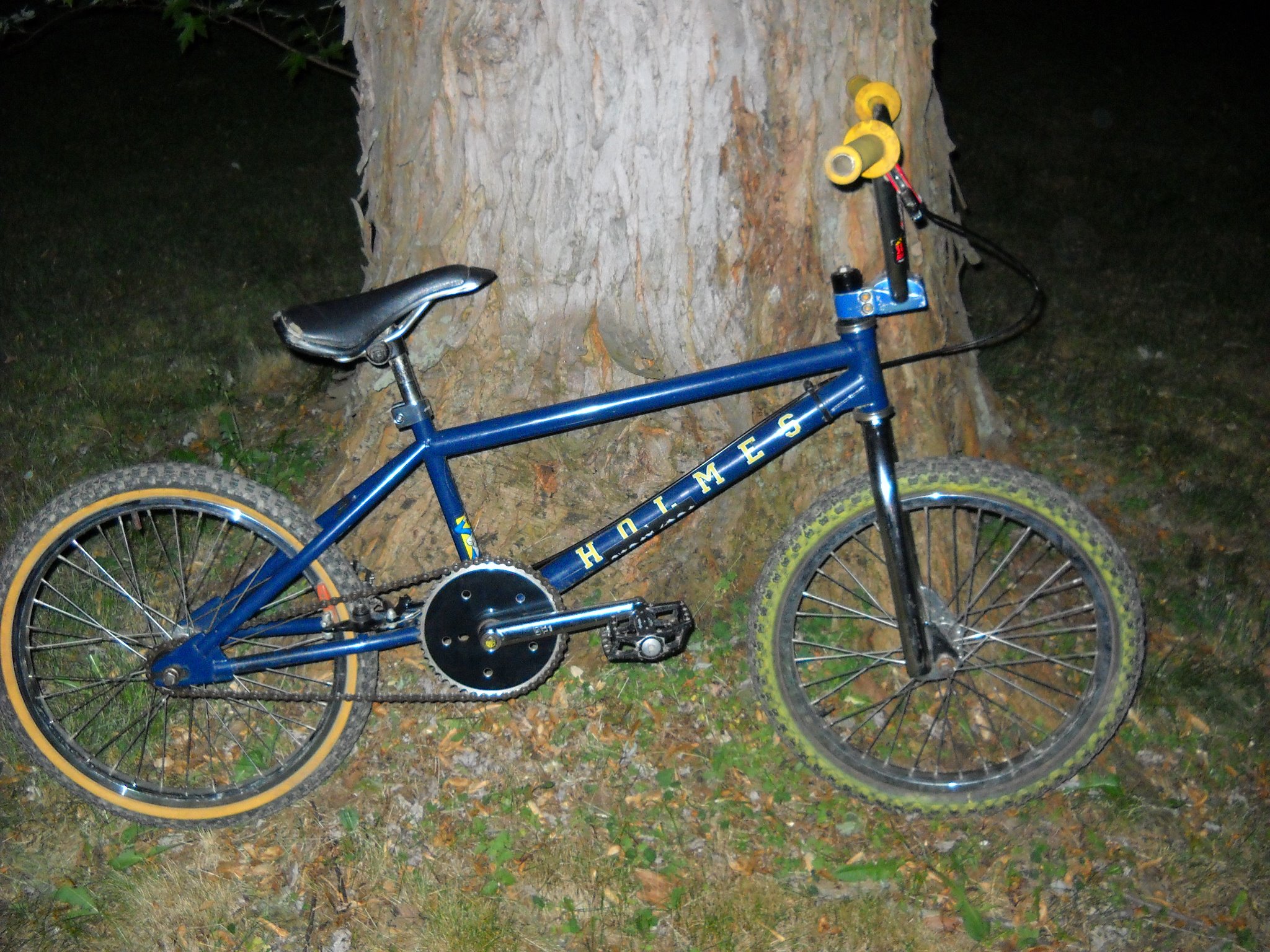 Custom 2000 S&M Holmes BMX bike build