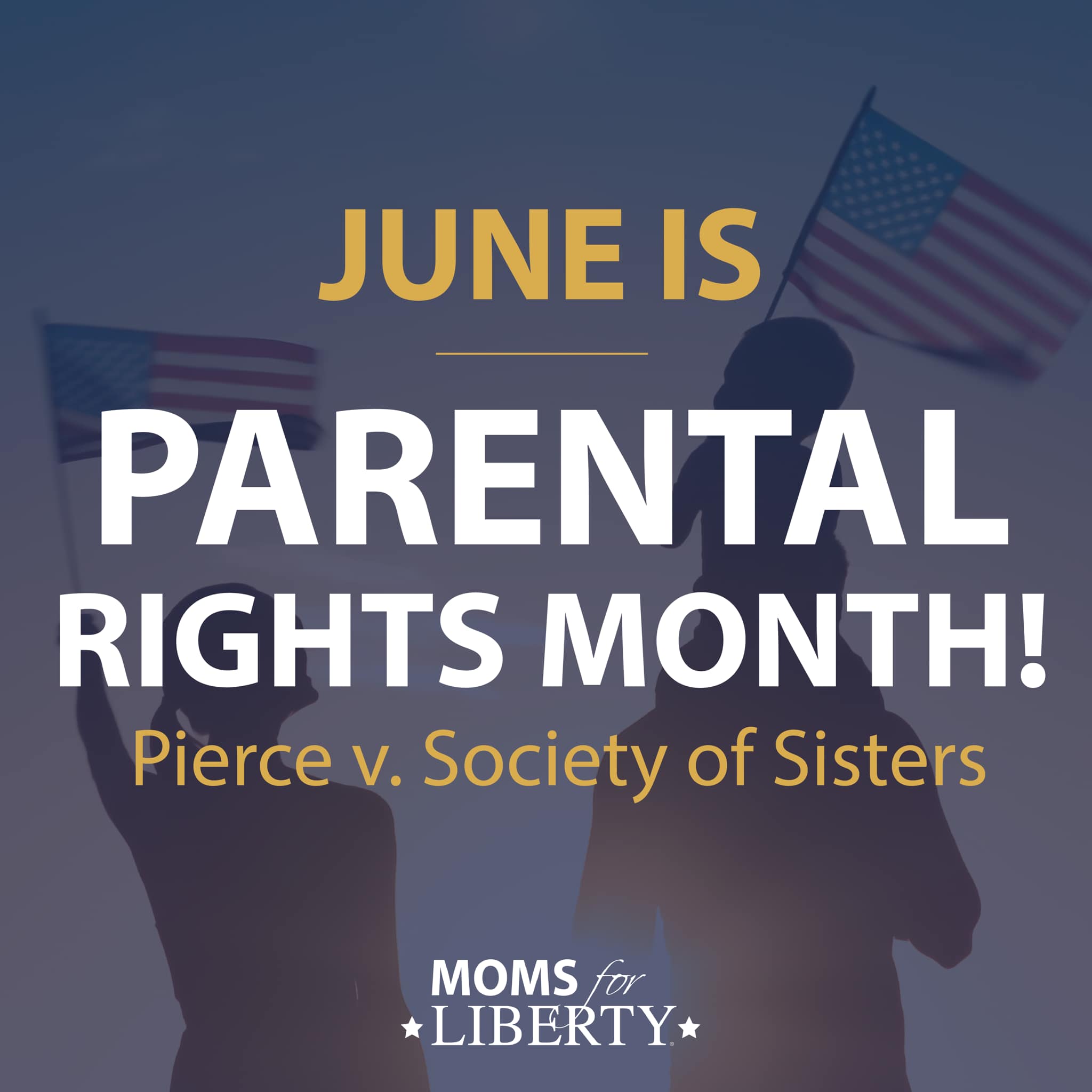 Moms For Liberty- Gillespie County