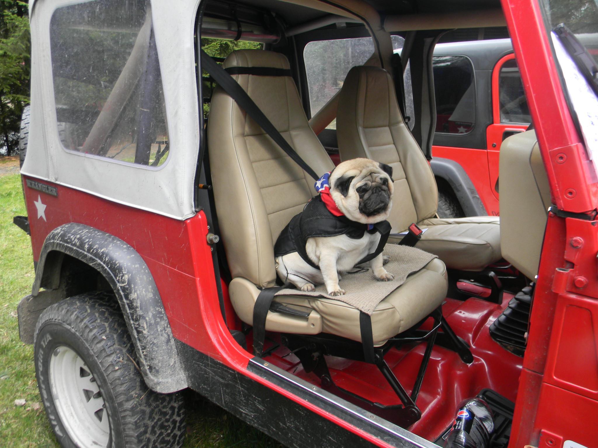Universal Auto Body, Inc. | Abington MA