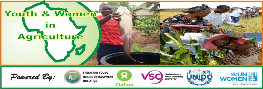 Youth And Women in Agribusiness | Facebook