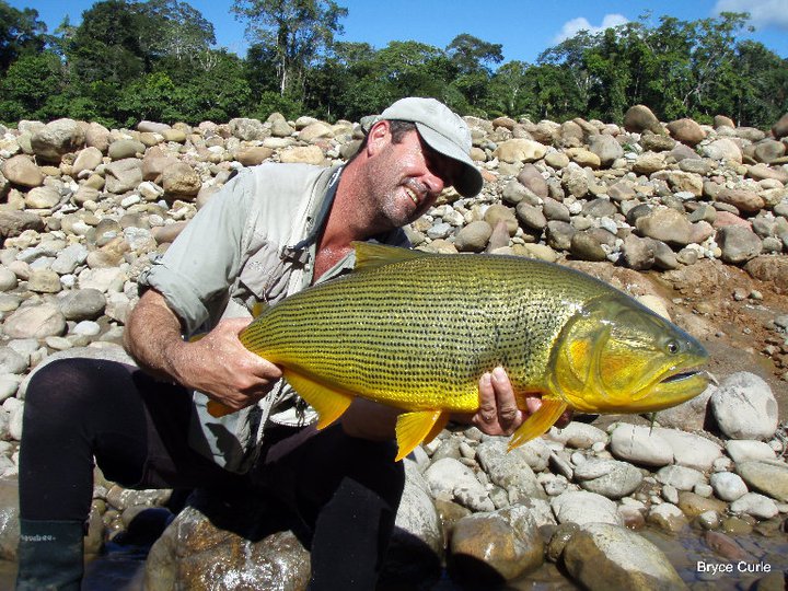 Bryce Curle Fishing Guide