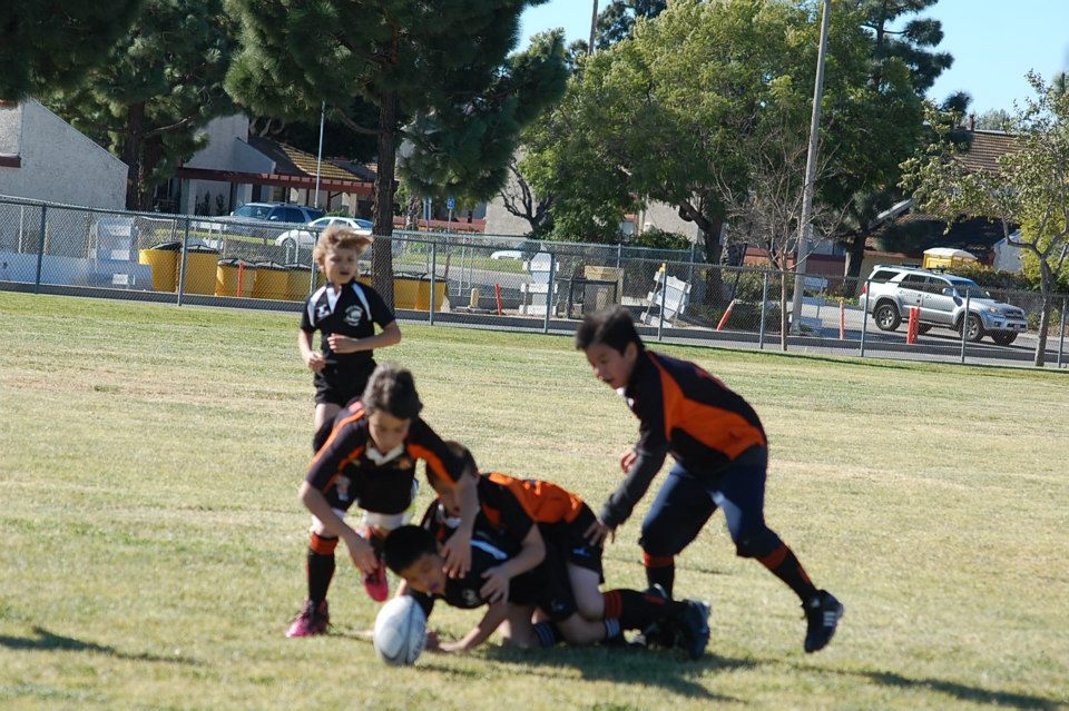 SCV TIGERS YOUTH RUGBY CLUB