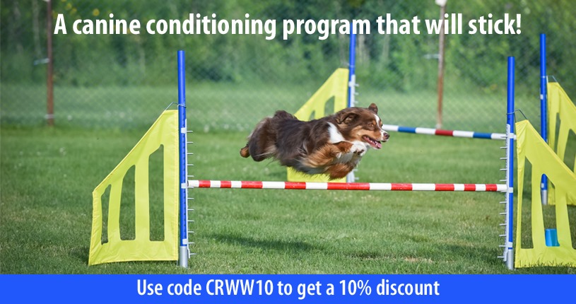 Clean Run - The Winning Way: Conditioning the Canine... | Facebook