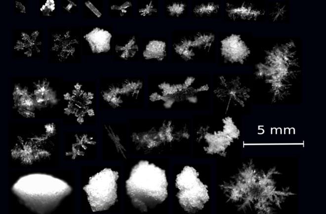 Science Channel - Meet the ultimate 3D snowflake camera!...