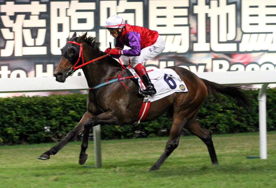 HKJC Racing - 寶馬香港打吡大賽獲選參賽賽駒：「安賞」 馬主：王賢敏 練馬師：蔡約翰 在港出賽紀錄(截至6/3/13)：9 (1 ...