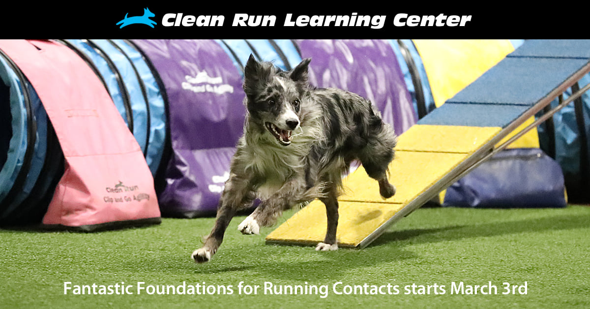 Clean Run - New online class starting March 3, 2021 in the... | Facebook