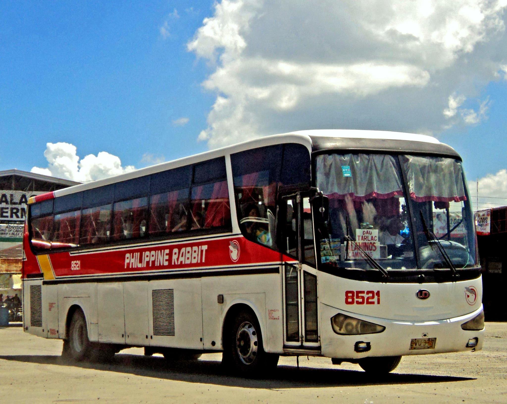 PHILIPPINE RABBIT
