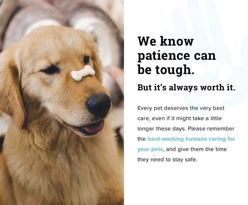 Vca Kankakee Animal Hospital