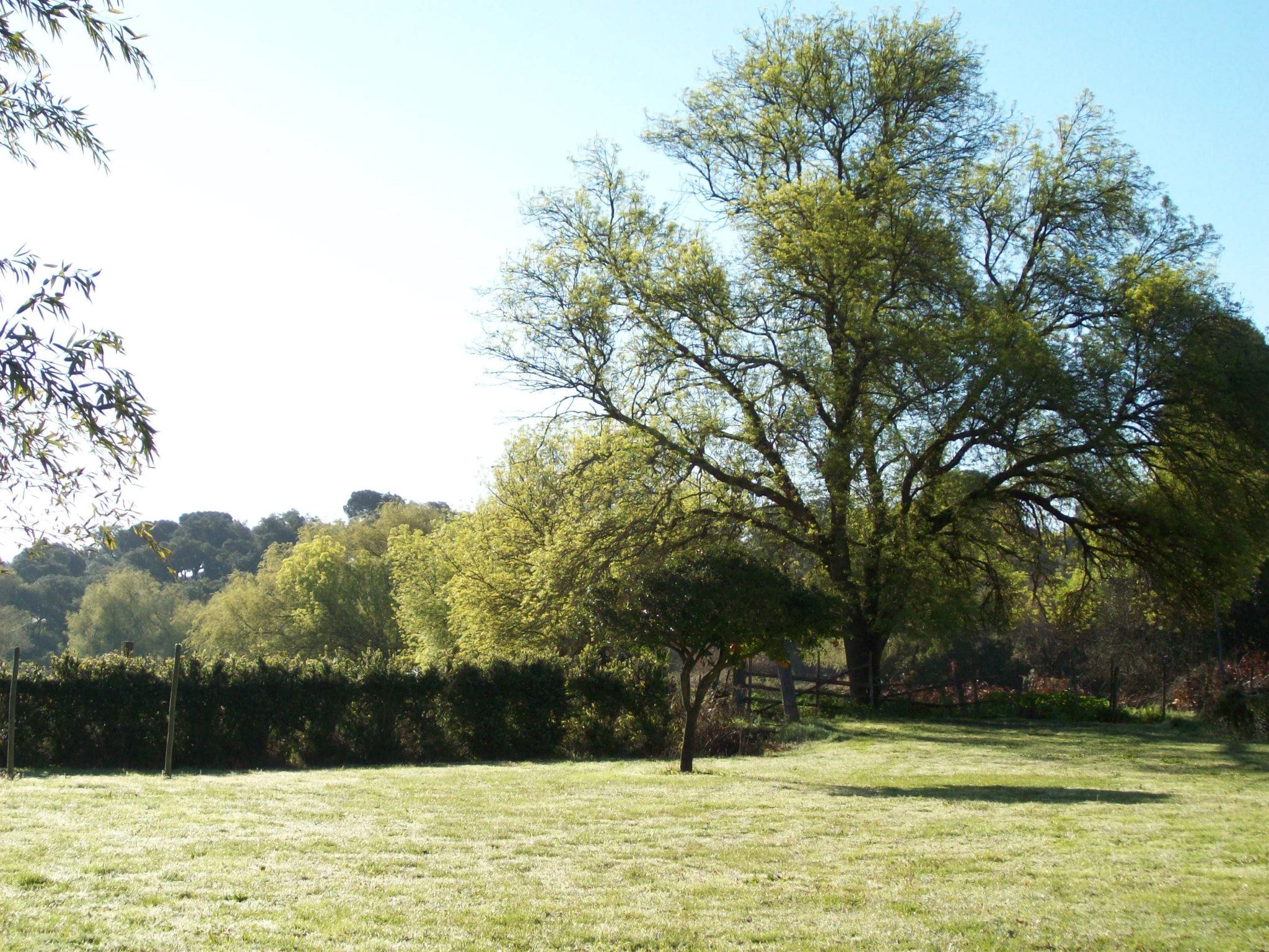 quinta-do-gaio-de-baixo-cartaxo