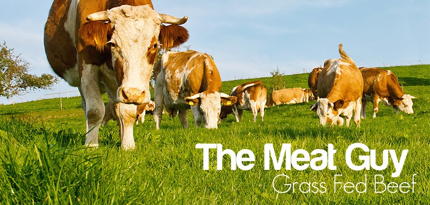 The Meat Guy Http Www Themeatguy Jp App En Products Index 62 Looking For Grass Fed Meat Check Out Our New Category We Have Set Up One Can Argue If Grass Fed Or Grain Fed Is The Better Meat What Do