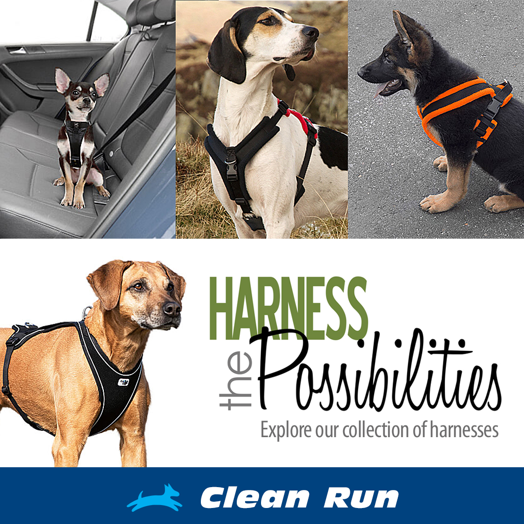 Clean Run - Is finding the right harness to fit your dog a bit of a ...