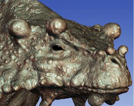 Science Channel - Meet the Bunostegos! (Bunostegos means “knobby roof ...