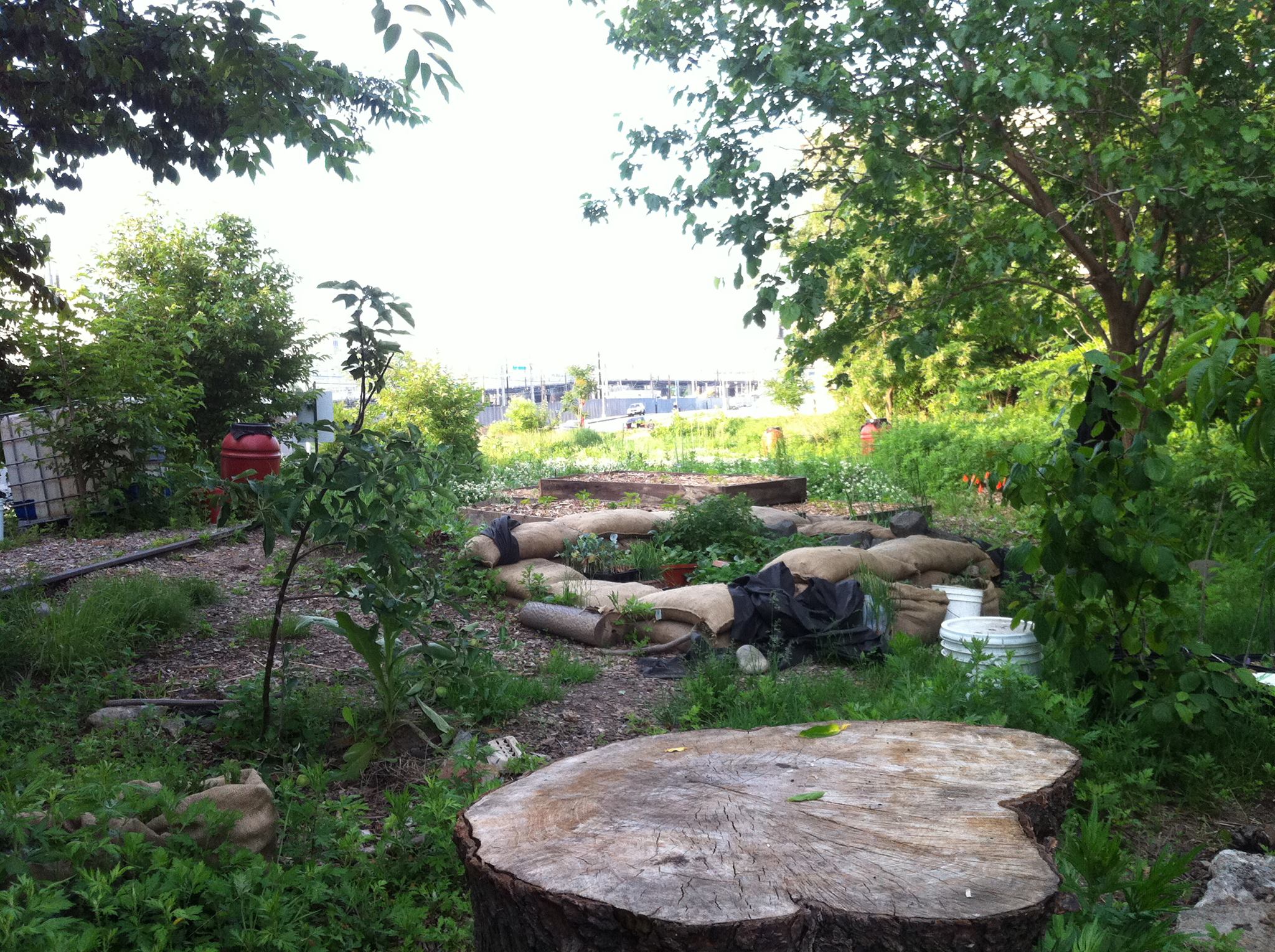 Nourishing Cities