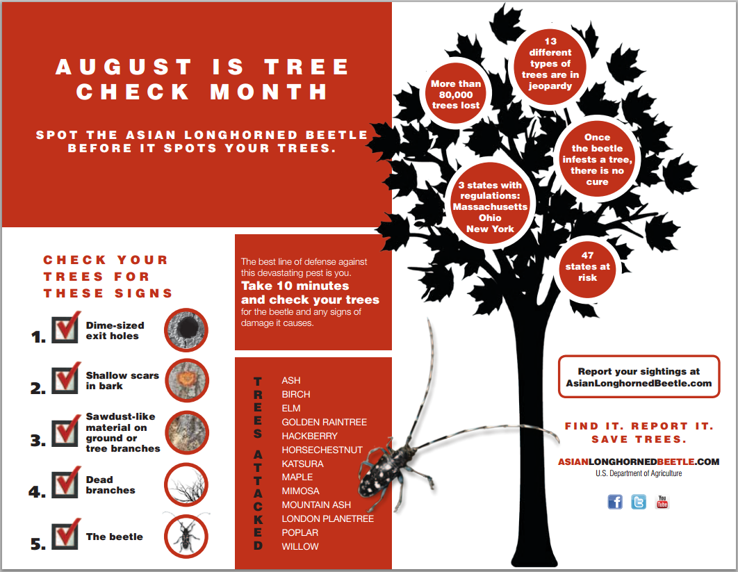 It's National Tree Check Month!... - Forest Products Society