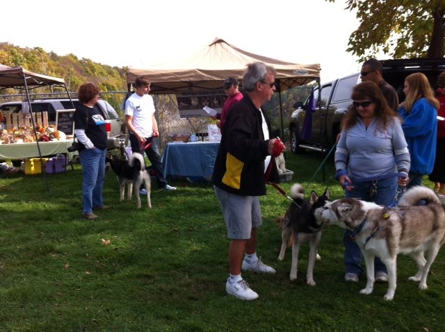 Husky... - Husky House Formerly MaPaw Siberian Husky Rescue