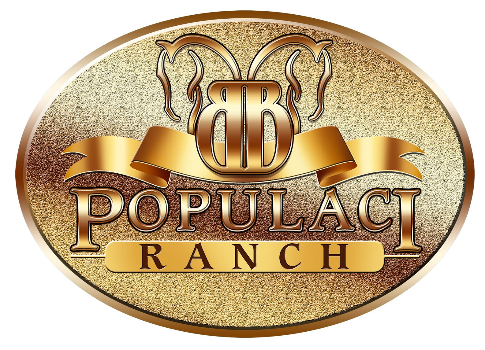 Welcome & Thank You to... - The Buckeye Reining Spectacular | Facebook