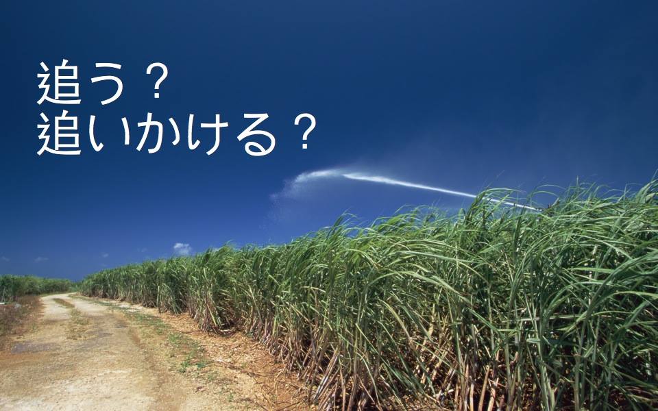 音速語言學習(日語) - 「老師沒教的日語文法・溫故知新！」 主題：追う？追いかける？ 日文當中的「追逐」意思，主要有二種常見用法： 「追う ...