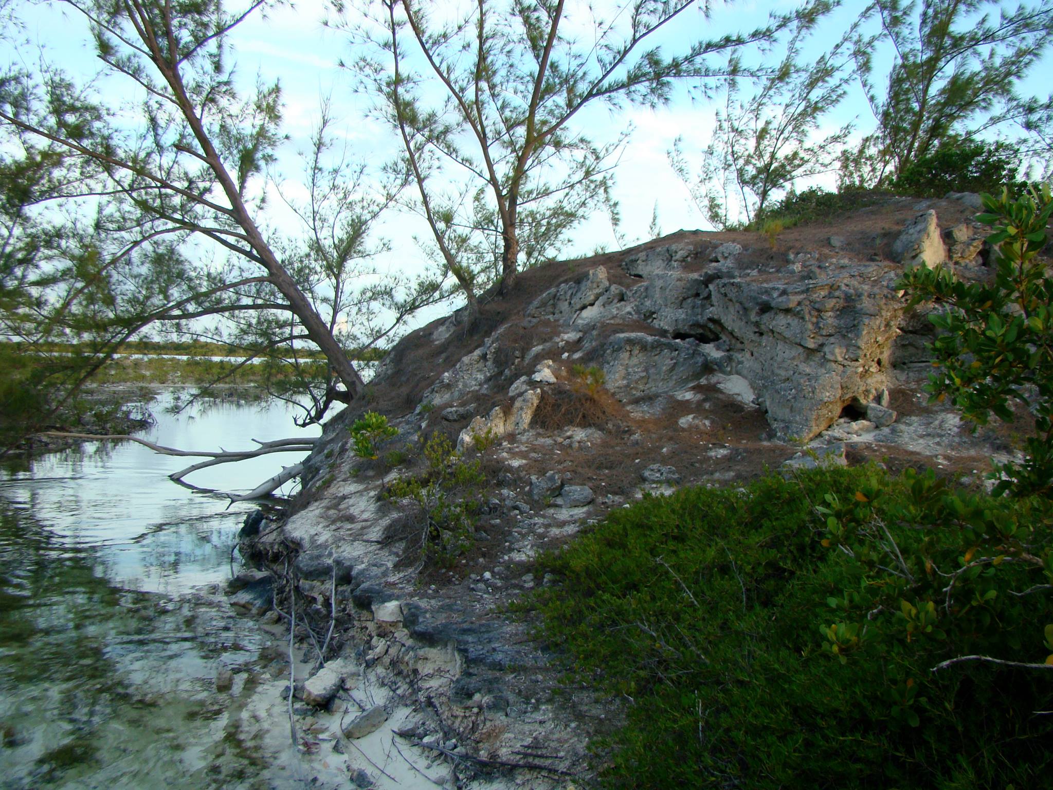 THE BAHAMAS: One of the perks of my work is traveling to beautiful ...