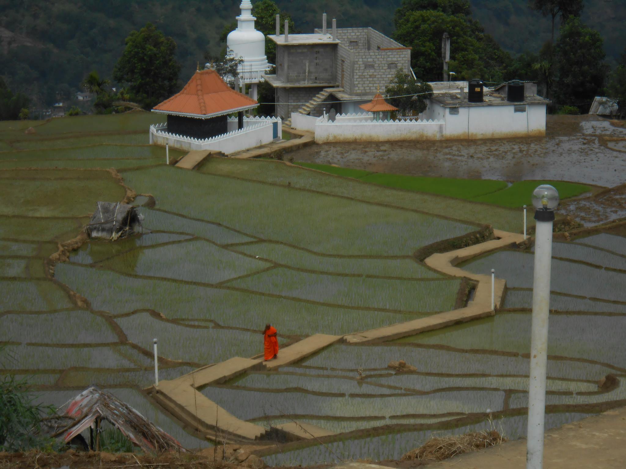 Sri Lanka City Tours | Colombo