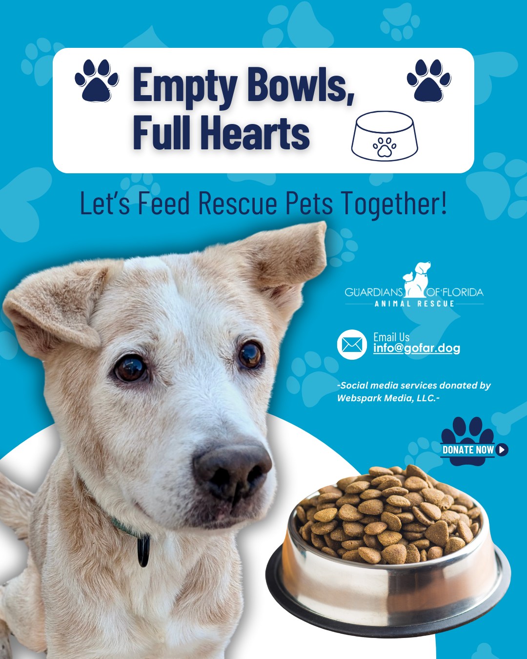Guardians - 🐾 Empty Bowls, Full Hearts: Feeding Rescue Pets with Love ...