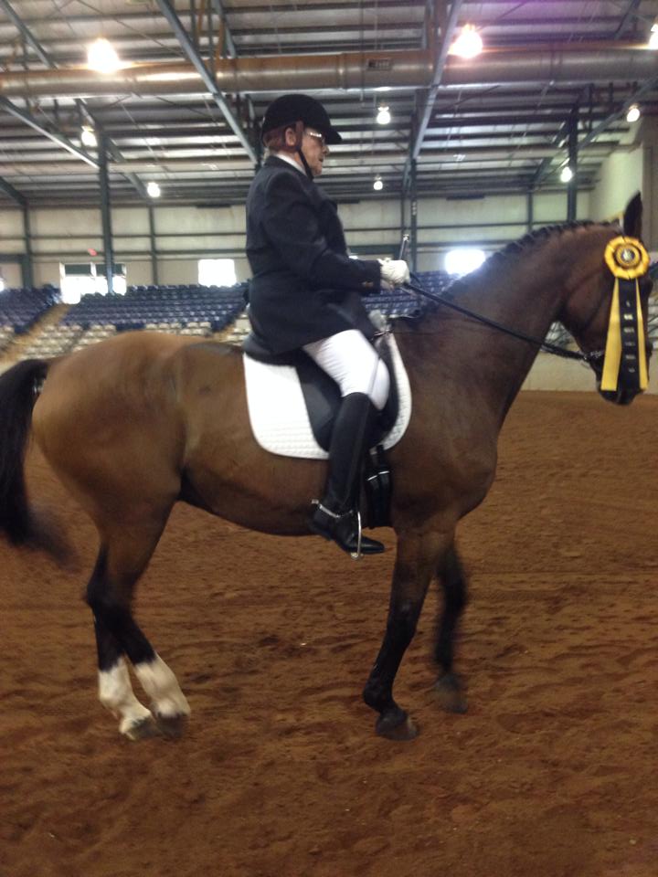 Here are some pics of Judith and... - Steel Prize Stables