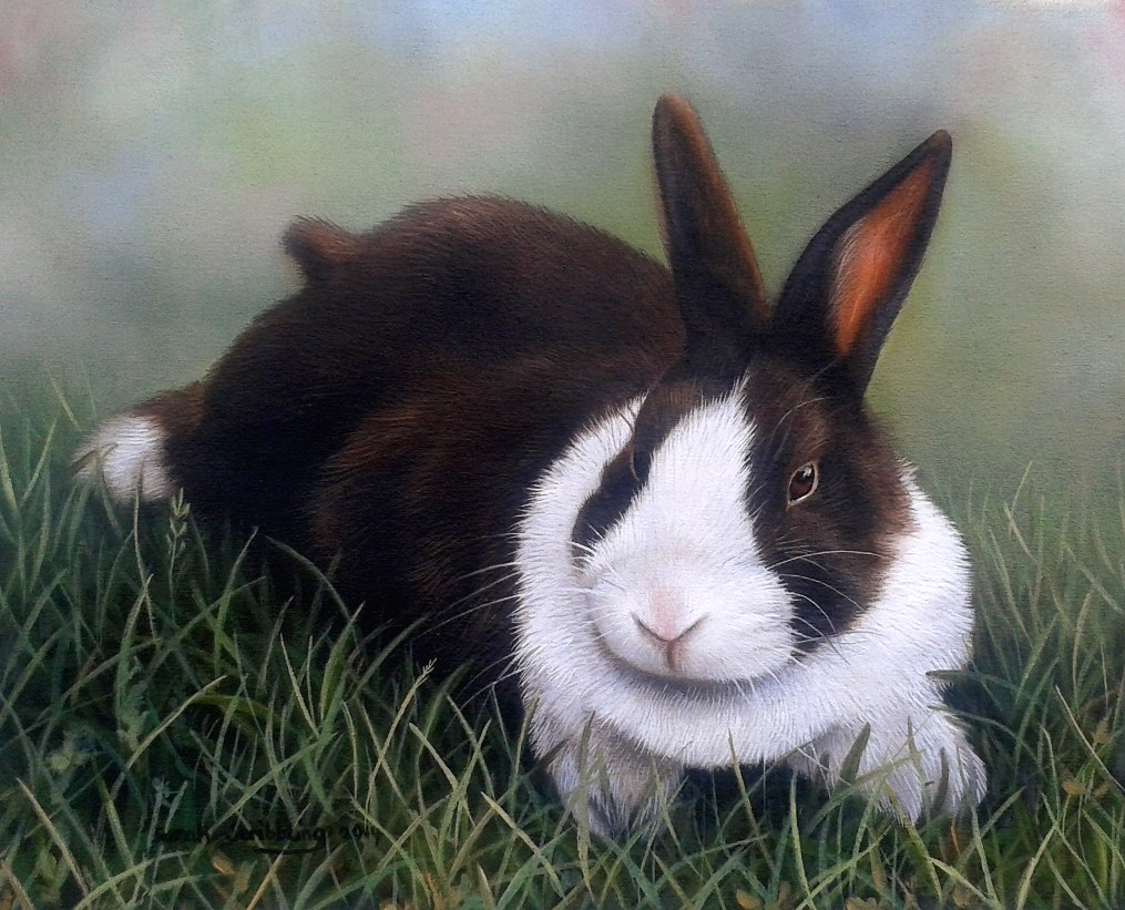 Maxwell after sitting... - Maxwell Rabbit and Harriet Bunny