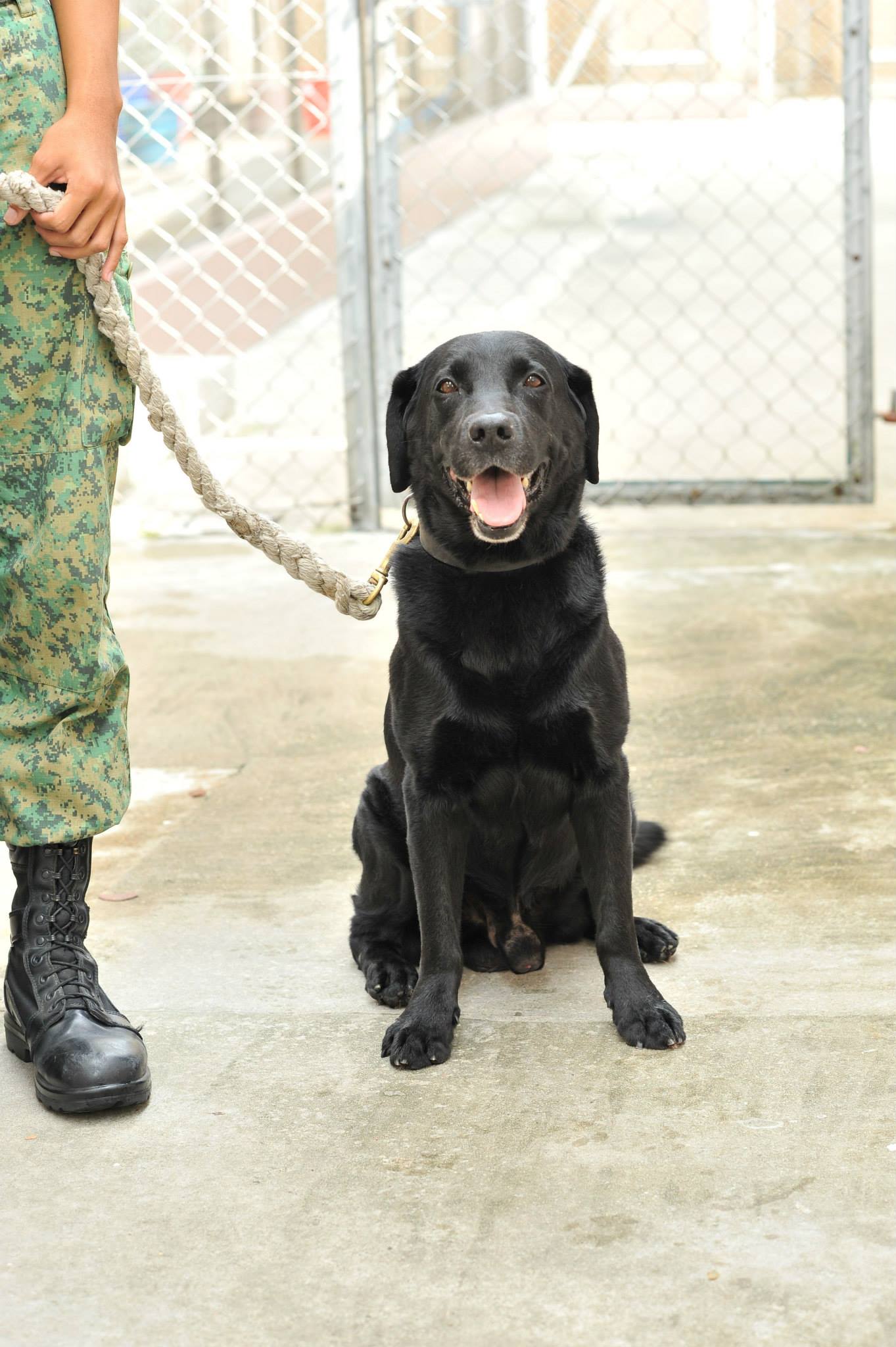 Ministry of Defence, Singapore (MINDEF) - (No longer available for ...