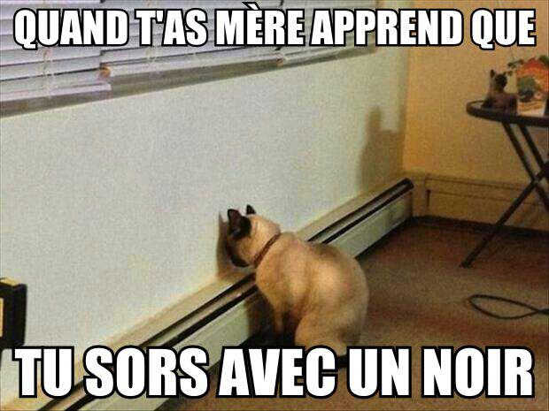 Kevin Razy Ahaha La Reponse Merci Amelle P S Que De La Blague Que De L Amour 3 Facebook
