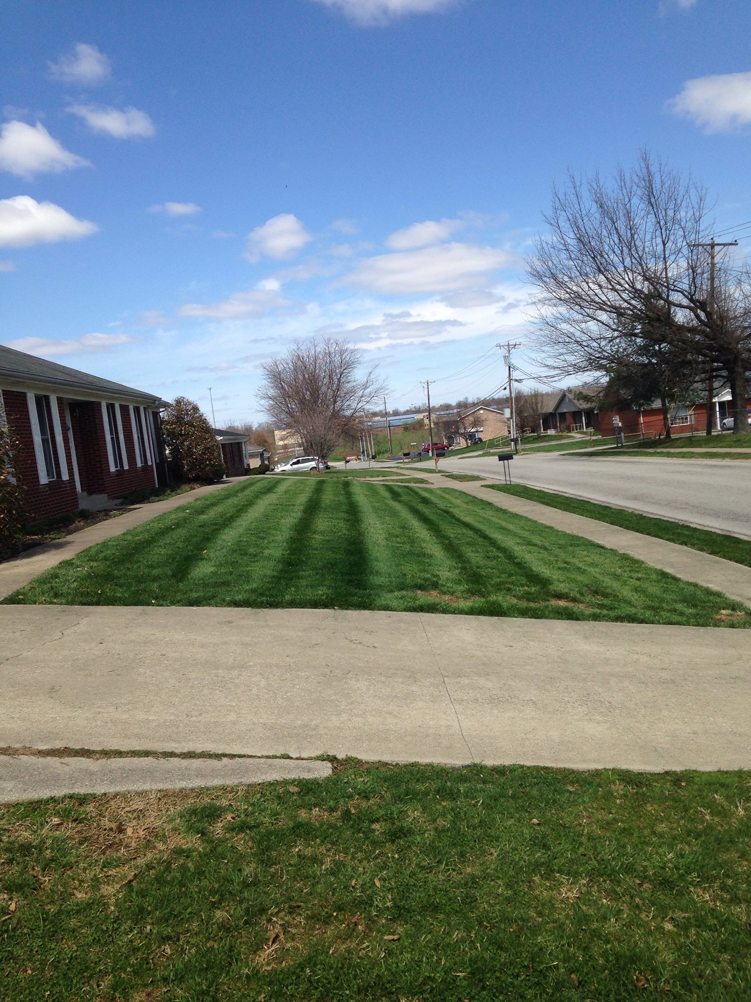 Execu Cuts Lawn and Landscape Specialists | Lawrenceburg KY