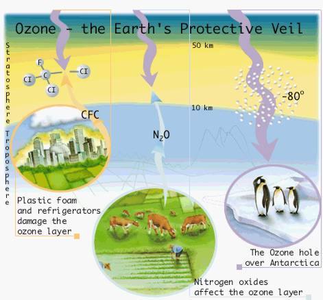 Nobel - The Hole in the Ozone Layer is Finally Starting to Heal Humans ...