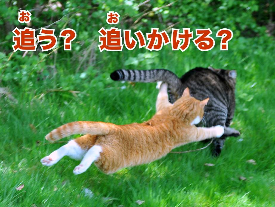 音速語言學習(日語) - 「老師沒教的日語文法・溫故知新！」 主題：追う？追いかける？ 日文當中的「追逐」意思，主要有二種常見用法： 「追う ...