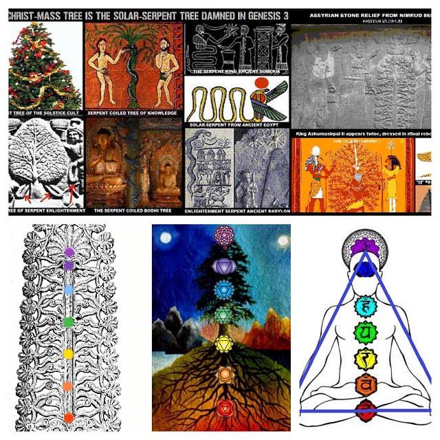 Illuminati Congo - PINE TREE/PINE CONE =PINEAL GLAND. Kundalini yoga is ...