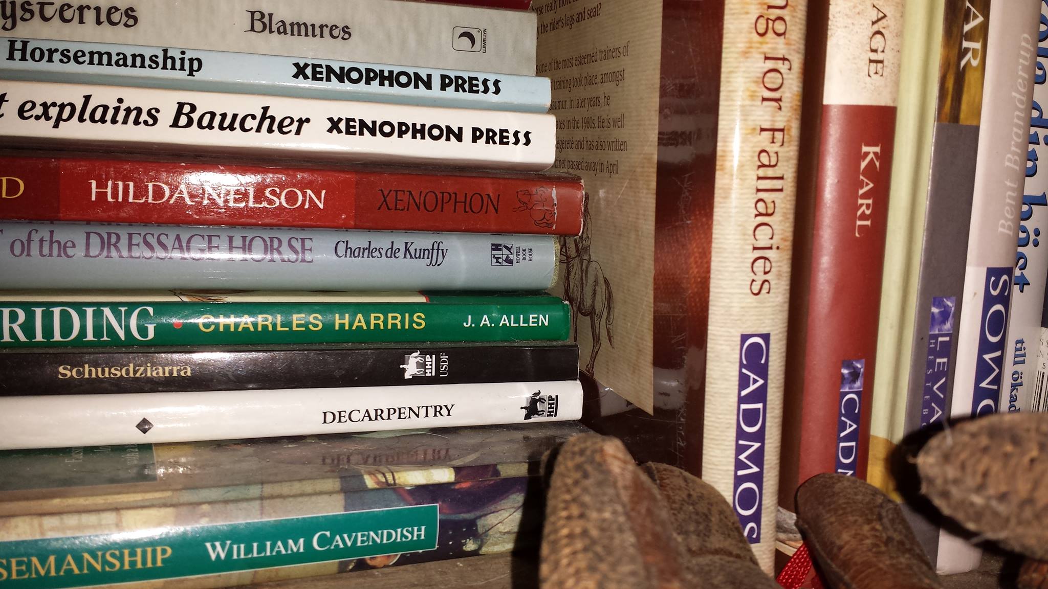 horse-books-sale-and-trade-can-someone-help-me-remember-a-book-from
