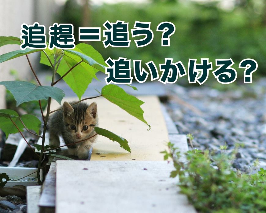 音速語言學習(日語) - 「老師沒教的日語文法！」 主題：追趕＝追う？追いかける？ 日文當中的「追逐」意思，主要有二種常見用法： 「追う（おう ...