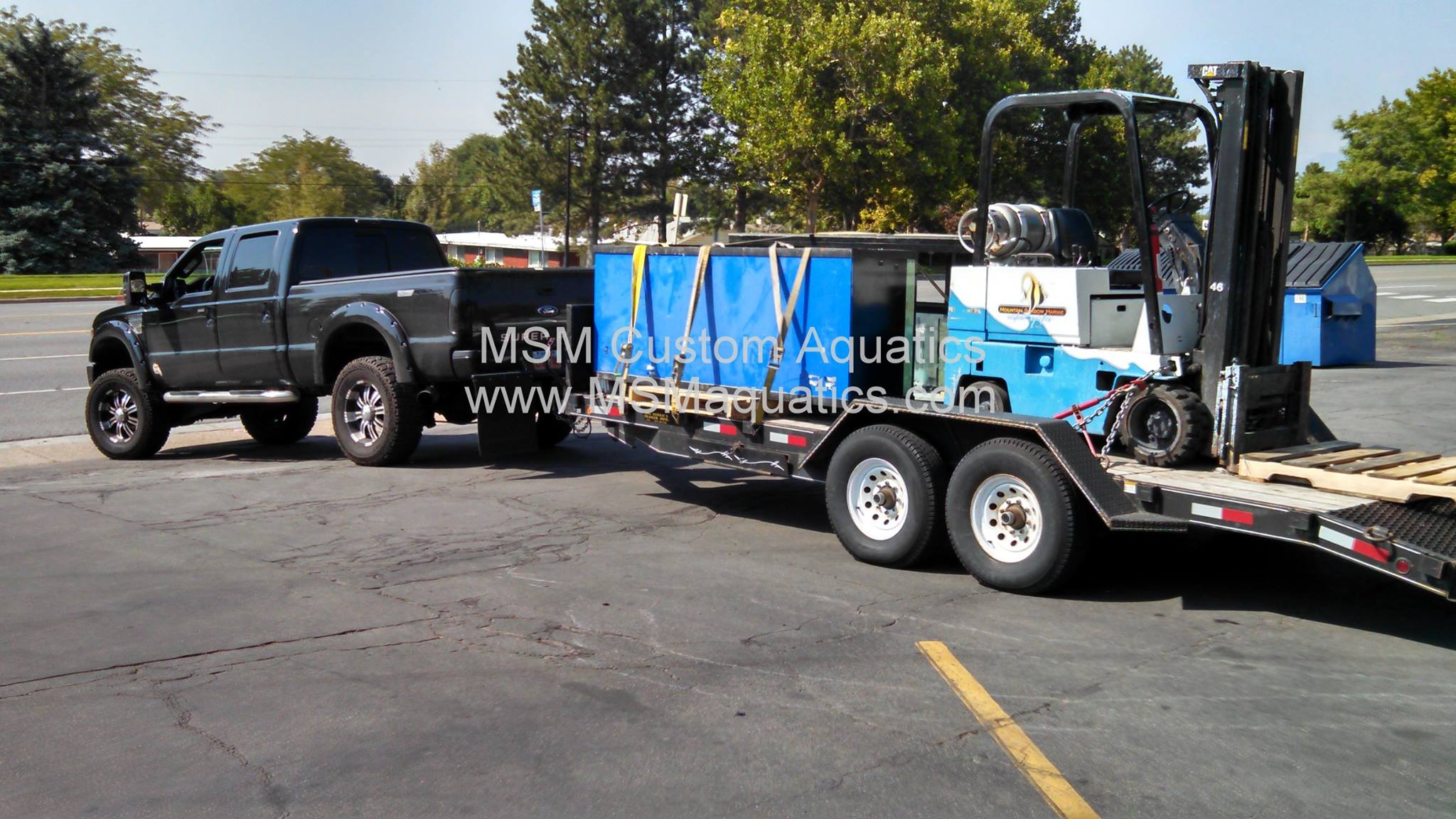 MSM Custom Aquatics | Centerville UT