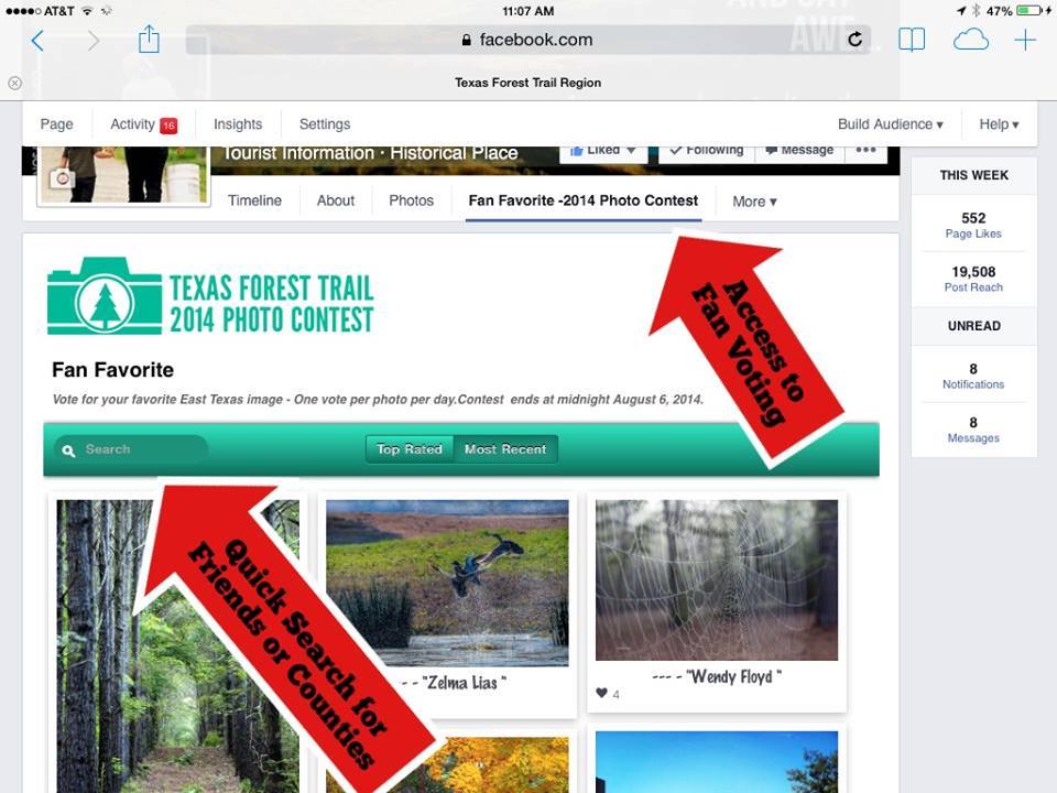 Texas Visuals - Here are easy steps to vote for your...