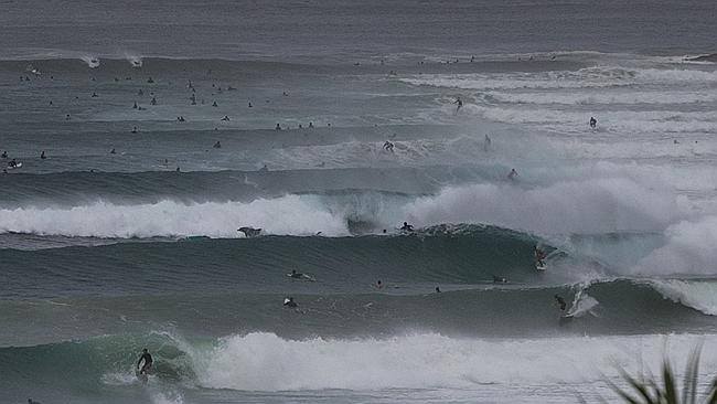 Gold Coast Bulletin - The best photo today? A dolphin leaps through ...