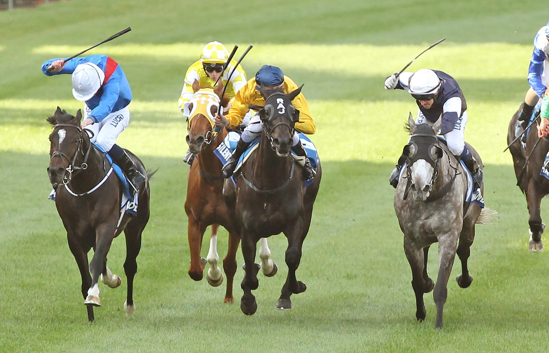The Sportingbet Cox Plate has... - Spring Racing Carnival