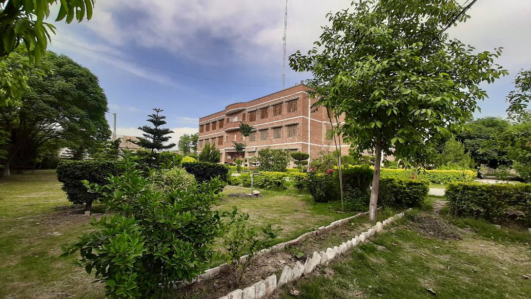 Department of Political Science and Pakistan Studies:UST Bannu