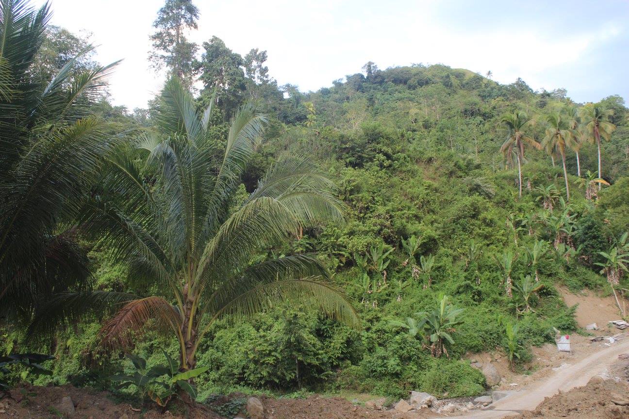 Municipality of Friendly Naawan | Naawan