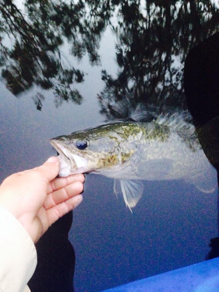 Fishing hints, tips and discussion, SE QLD | Facebook