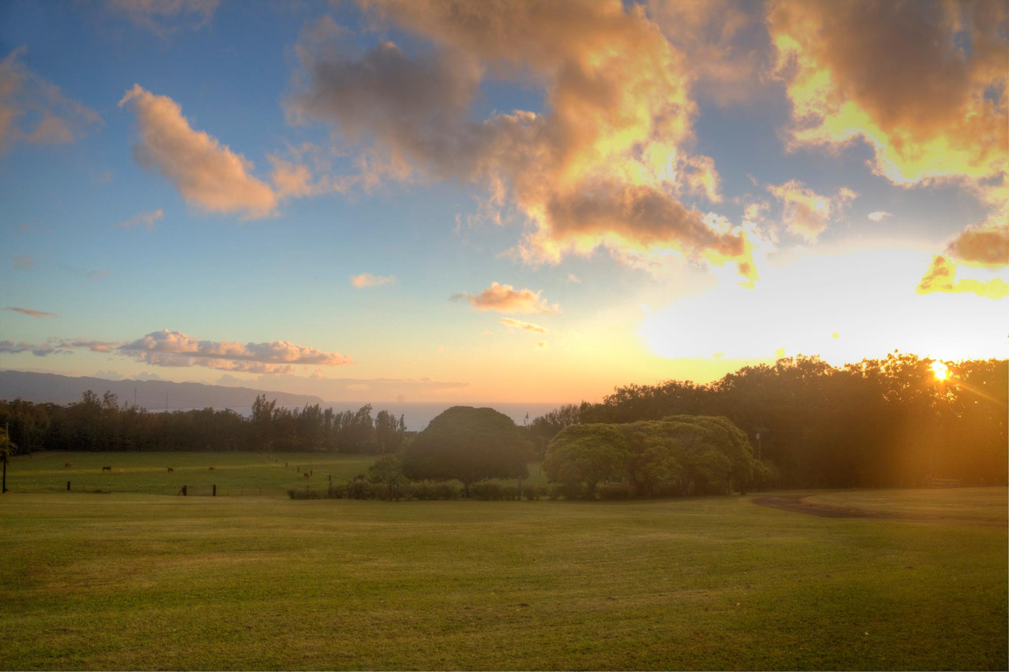 Sunset Ranch now has openings for... - Sunset Ranch Hawaii